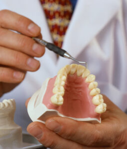 Agave dental implants